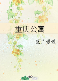 重庆公寓小说免费阅读在线